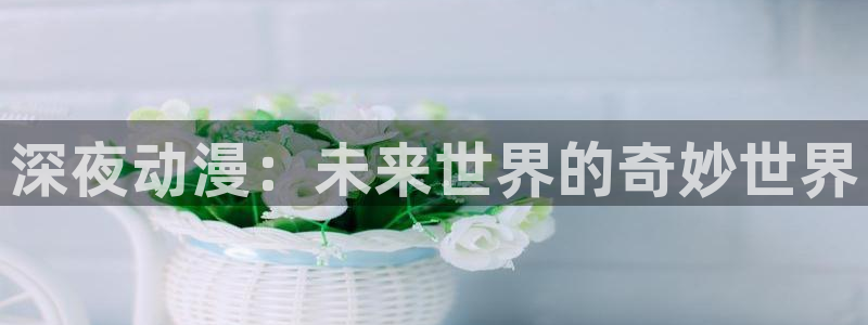 风车动漫下载链接：深夜动漫：未来世界的奇妙世界