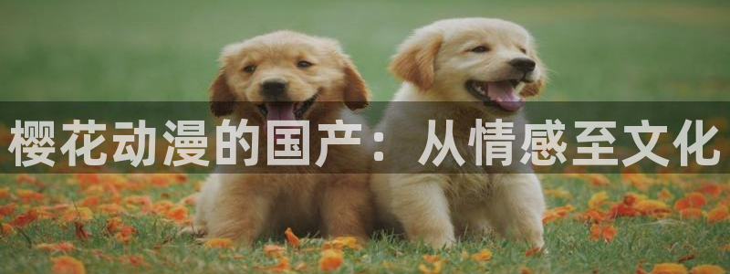 omofun老版本下载：樱花动漫的国产：从情感至文化