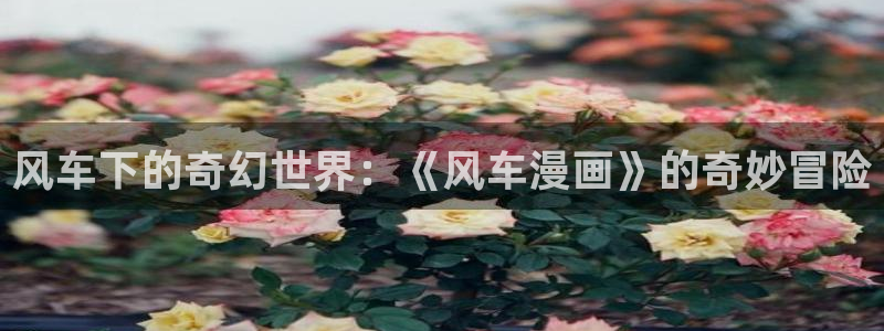 omofun正版官方链接：风车下的奇幻世界：《风车漫画》的奇妙冒险