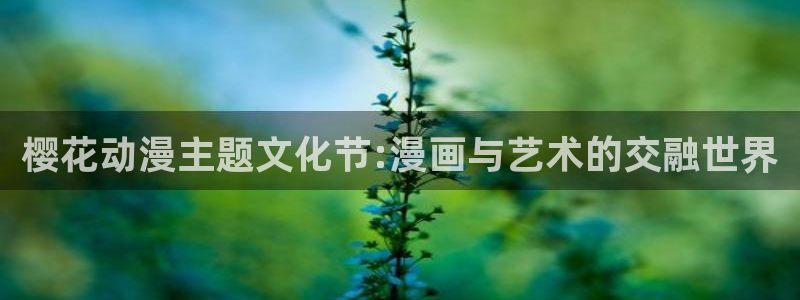 风车动漫网页版免费进入：樱花动漫主题文化节:漫画与艺术的交融世界