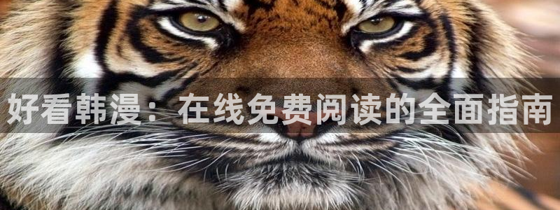 omofun旧版本：好看韩漫：在线免费阅读的全面指南