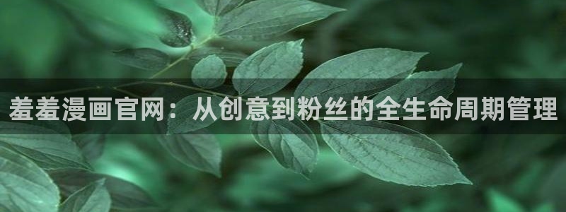 omofun动漫免费观看官网：羞羞漫画官网：从创意到粉丝的全生命周期管理