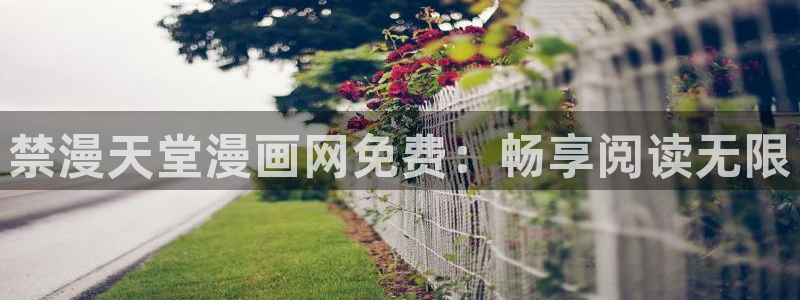 风车动漫最新版下载：禁漫天堂漫画网免费：畅享阅读无限