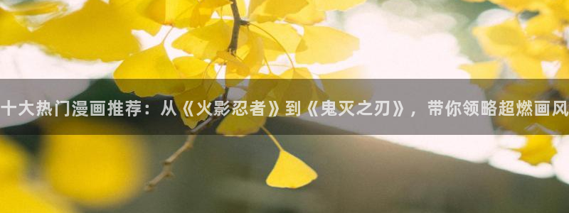 omofun动漫官网网页版入口