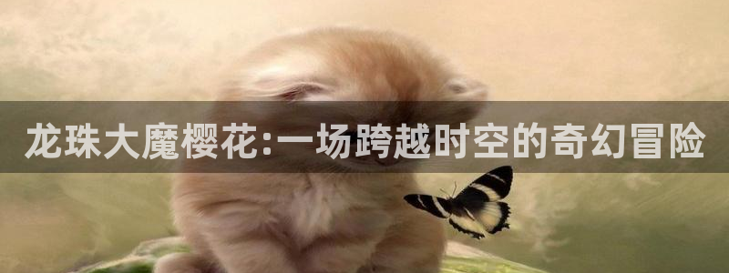 omofun正版下载安卓：龙珠大魔樱花:一场跨越时空的奇幻冒险