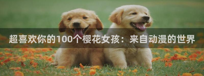 omofun动漫正版：超喜欢你的100个樱花女孩：来自动漫的世界