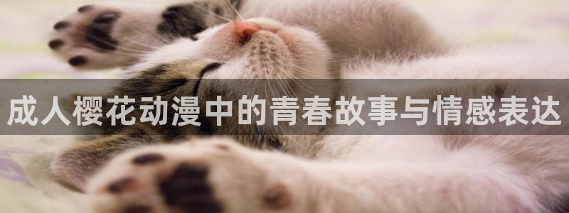 omofun轻量版：成人樱花动漫中的青春故事与情感表达