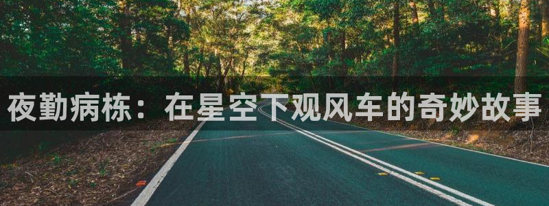 omofun\\：夜勤病栋：在星空下观风车的奇妙故事