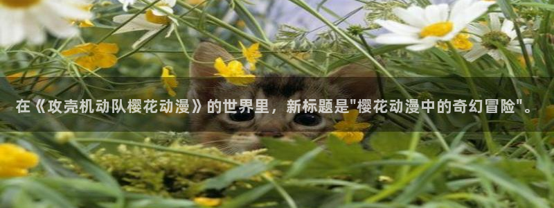omofun.on：在《攻壳机动队樱花动漫》的世界里，新标题是\