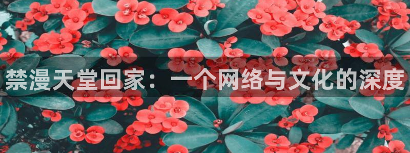 omofun动漫官方版下载：禁漫天堂回家：一个网络与文化的深度
